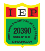 Aula Virtual IE 20390